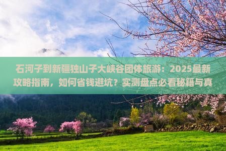 石河子到新疆独山子大峡谷团体旅游