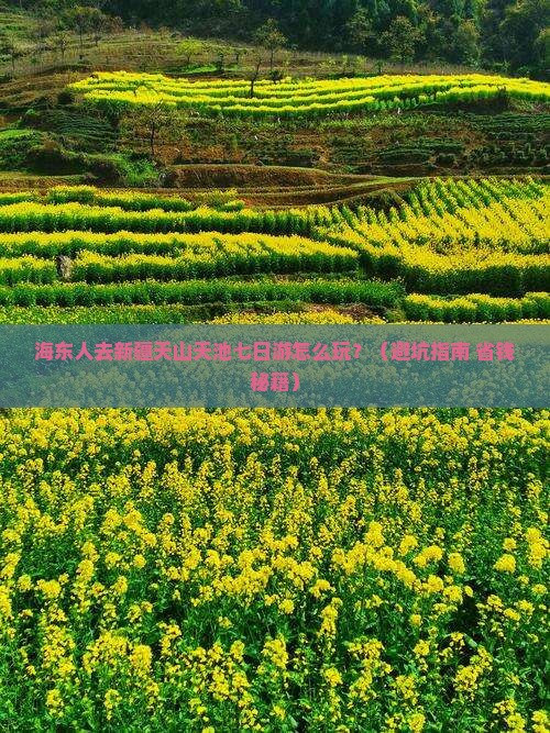 海东去新疆天山天池七日游