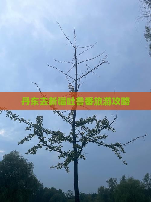 丹东去新疆吐鲁番旅游