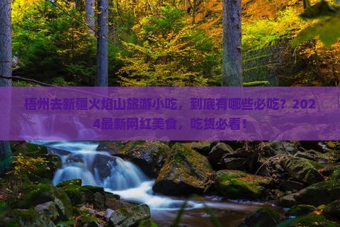 梧州去新疆火焰山旅游小吃