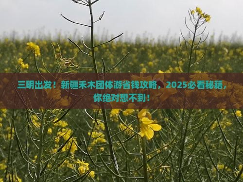 三明到新疆禾木团体旅游