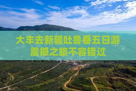 大丰去新疆吐鲁番五日游