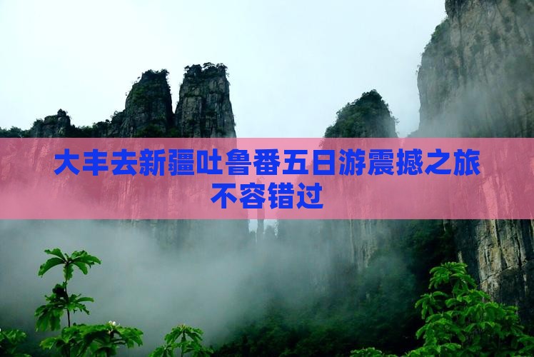 大丰去新疆吐鲁番五日游