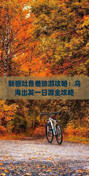 新疆吐鲁番旅游攻略：乌海出发一日游全攻略