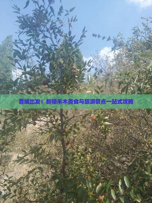 晋城出发:新疆禾木美食与旅游景点一站式攻略 晋城出发:新疆禾木美食与旅游景点一站式攻略