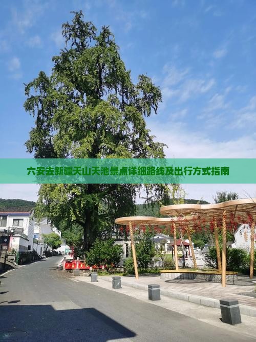 六安去新疆天山天池景点详细路线及出行方式指南