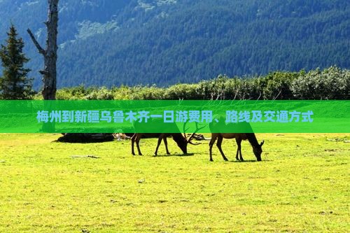 梅州到新疆乌鲁木齐一日游费用、路线及交通方式