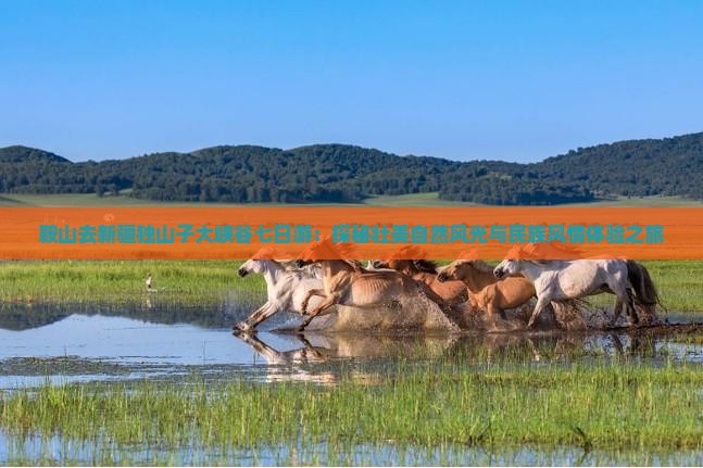 鞍山去新疆独山子大峡谷七日游：探秘壮美自然风光与民族风情体验之旅