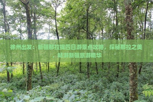 徐州出发：新疆那拉提四日游景点攻略，探秘那拉之美，畅游新疆旅游精华