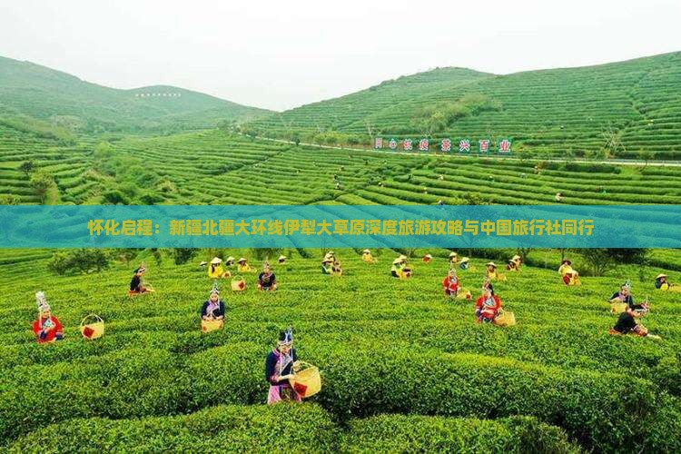 怀化启程：新疆北疆大环线伊犁大草原深度旅游攻略与中国旅行社同行