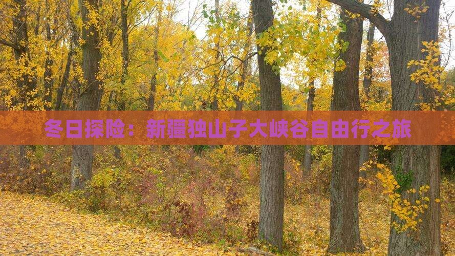 冬日探险：新疆独山子大峡谷自由行之旅