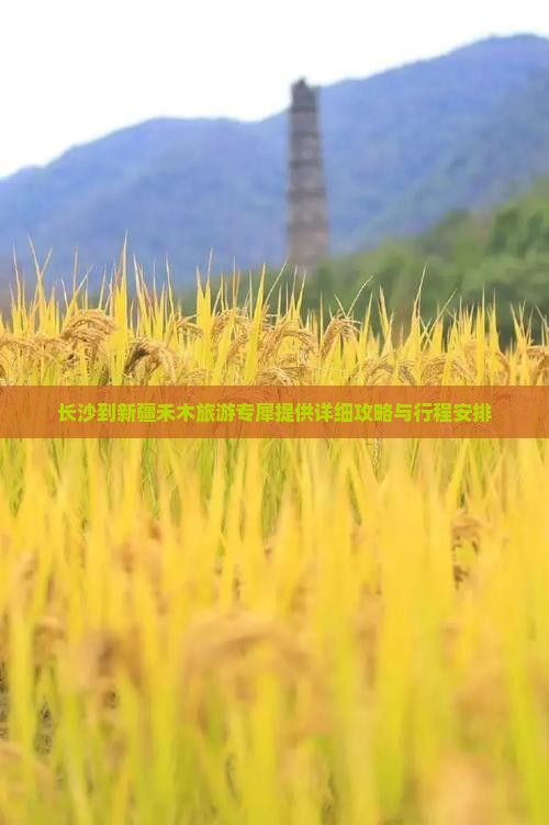 长沙到新疆禾木旅游专犀提供详细攻略与行程安排