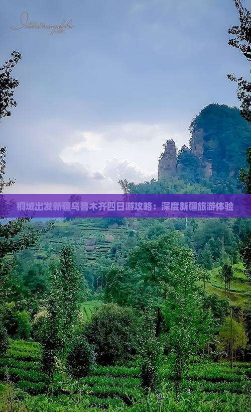 桐城出发新疆乌鲁木齐四日游攻略：深度新疆旅游体验