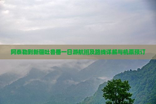 阿泰勒到新疆吐鲁番一日游航班及路线详解与机票预订