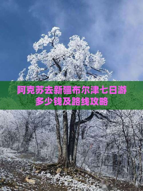 阿克苏去新疆布尔津七日游多少钱及路线攻略