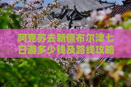阿克苏去新疆布尔津七日游多少钱及路线攻略
