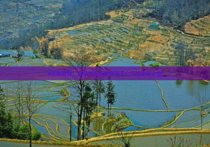 4天深度游：资阳出发探秘新疆天山天池全景之旅