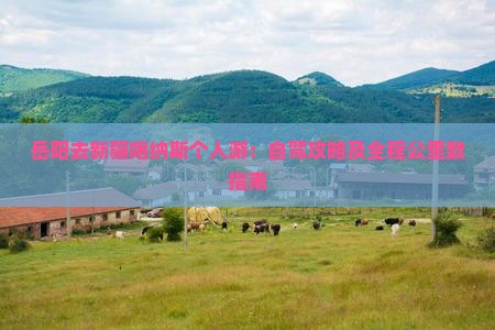 岳阳去新疆喀纳斯个人游：自驾攻略及全程公里数指南