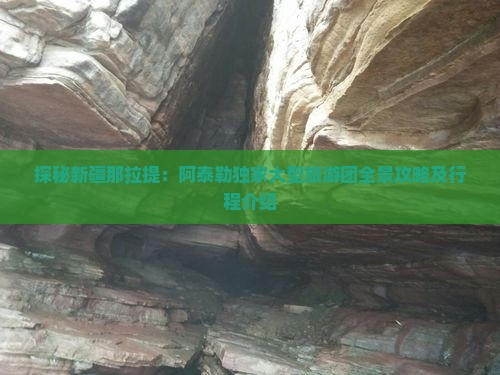 探秘新疆那拉提：阿泰勒独家大型旅游团全景攻略及行程介绍