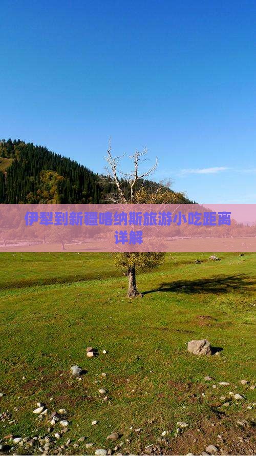 伊犁到新疆喀纳斯旅游小吃距离详解
