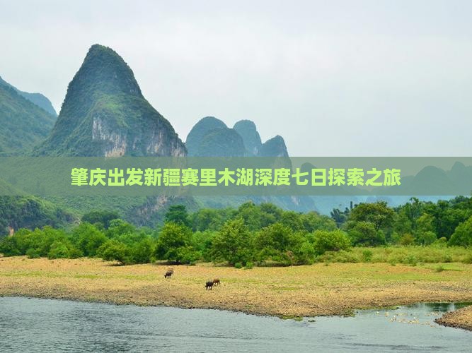 肇庆出发新疆赛里木湖深度七日探索之旅