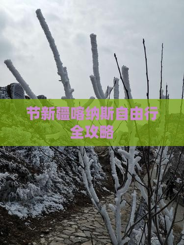 节新疆喀纳斯自由行全攻略