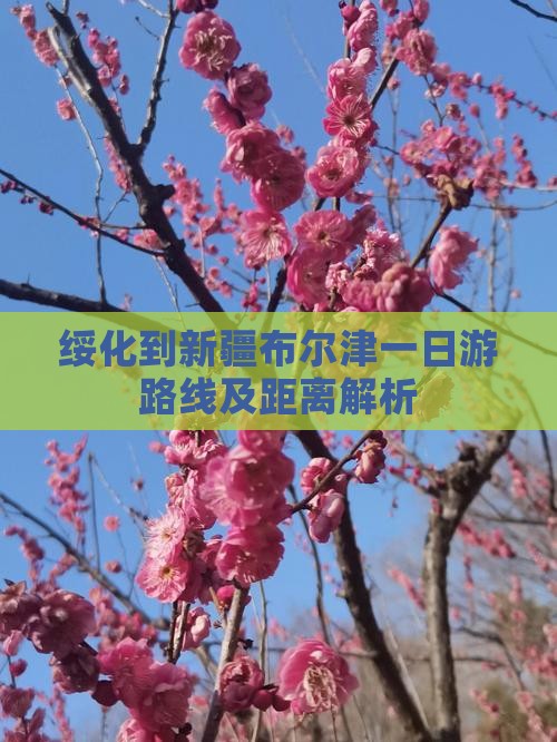 绥化到新疆布尔津一日游路线及距离解析