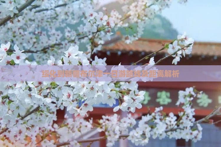 绥化到新疆布尔津一日游路线及距离解析