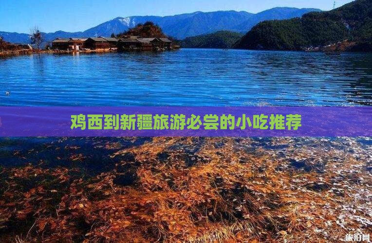 鸡西到新疆旅游必尝的小吃推荐