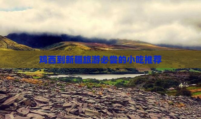 鸡西到新疆旅游必尝的小吃推荐