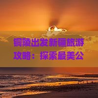 铜陵出发新疆旅游攻略：探索最美公路与旅游胜地