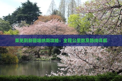 莱芜到新疆喀纳斯攻略：全程公里数及路线详解