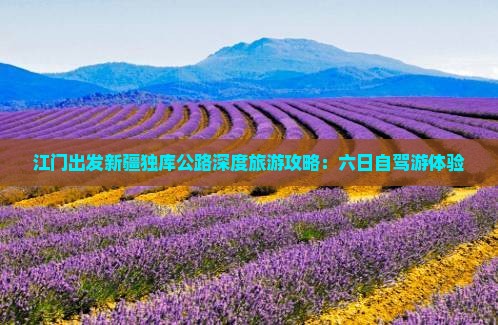江门出发新疆独库公路深度旅游攻略：六日自驾游体验