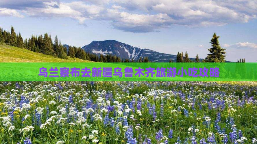 乌兰察布去新疆乌鲁木齐旅游小吃攻略
