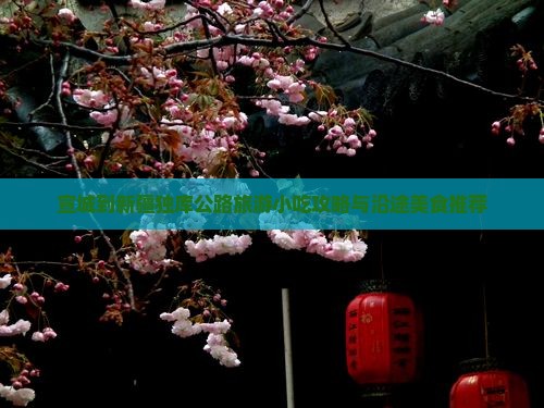 宣城到新疆独库公路旅游小吃攻略与沿途美食推荐