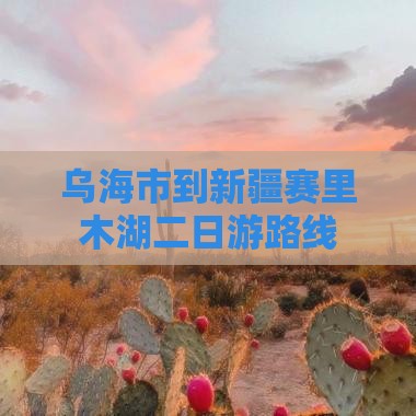 乌海市到新疆赛里木湖二日游路线