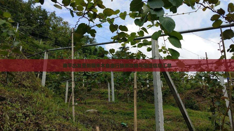 南平出发至新疆禾木自由行旅游攻略与团组信息汇总