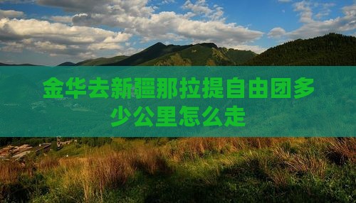 金华去新疆那拉提自由团多少公里怎么走