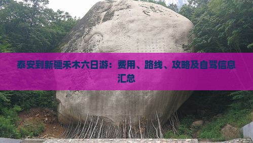 泰安到新疆禾木六日游：费用、路线、攻略及自驾信息汇总