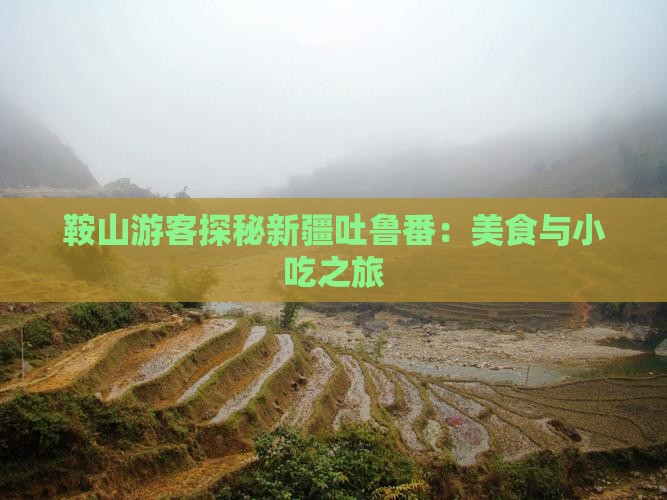鞍山游客探秘新疆吐鲁番：美食与小吃之旅