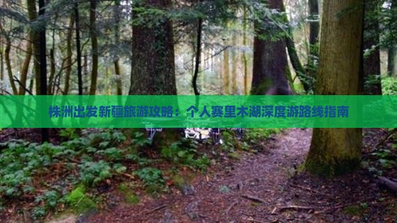 株洲出发新疆旅游攻略：个人赛里木湖深度游路线指南
