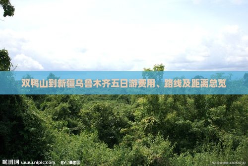 双鸭山到新疆乌鲁木齐五日游费用、路线及距离总览 双鸭山到新疆乌鲁木齐五日游费用、路线及距离总览