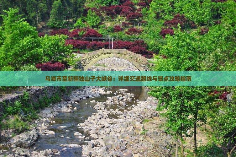 乌海市至新疆独山子大峡谷：详细交通路线与景点攻略指南