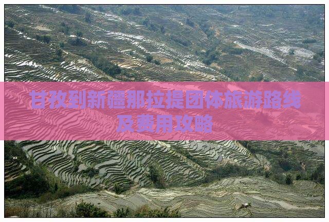 甘孜到新疆那拉提团体旅游路线及费用攻略
