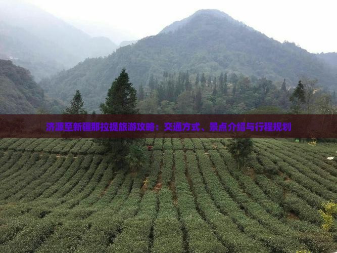 济源至新疆那拉提旅游攻略：交通方式、景点介绍与行程规划