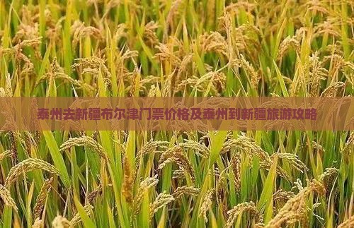 泰州去新疆布尔津门票价格及泰州到新疆旅游攻略