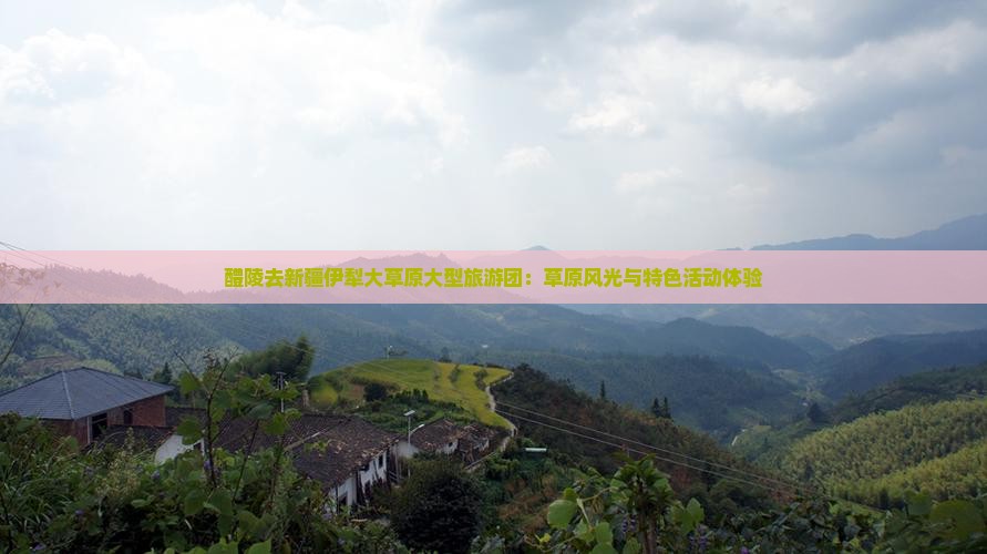 醴陵去新疆伊犁大草原大型旅游团：草原风光与特色活动体验