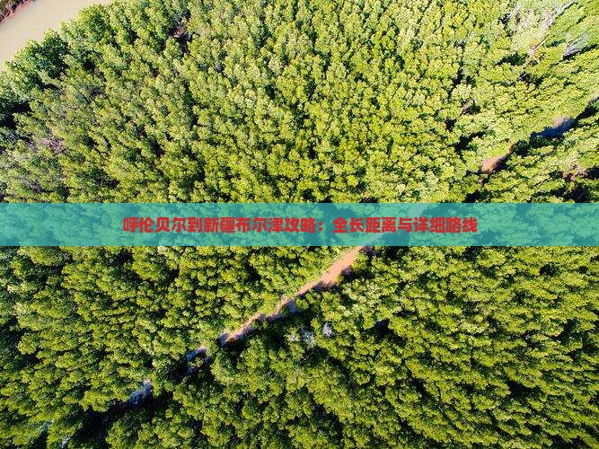 呼伦贝尔到新疆布尔津攻略：全长距离与详细路线