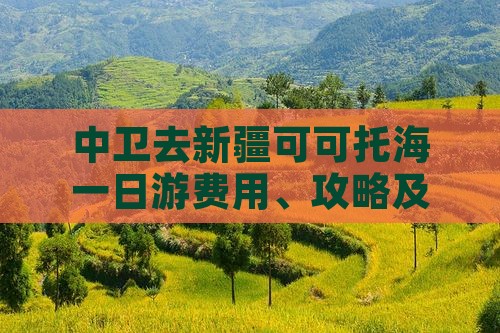 中卫去新疆可可托海一日游费用、攻略及路线
