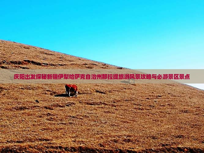 庆阳出发探秘新疆伊犁哈萨克自治州那拉提旅游风景攻略与必游景区景点